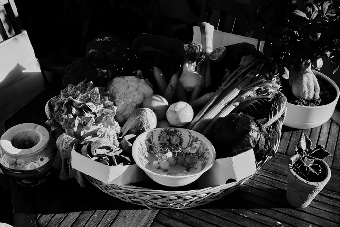 Preparing for Your Next Balcony Vegetable Gardening Session